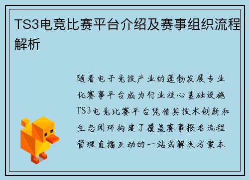 TS3电竞比赛平台介绍及赛事组织流程解析